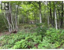 Vacant lot Lakeview Road, photo 11