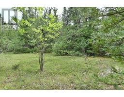 0 Mast Road, Mcnab/braeside, ON K7S3G8 Photo 11