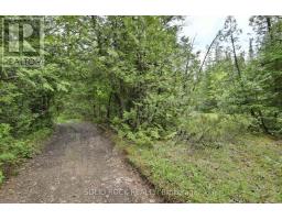 0 Mast Road, Mcnab/braeside, ON K7S3G8 Photo 13