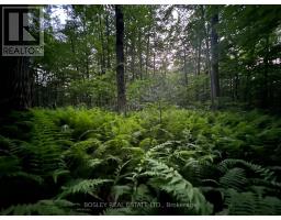 1874 Highway 11 N, Gravenhurst, ON P0E1G0 Photo 9