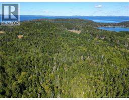Vacant Land Route 772, photo 5
