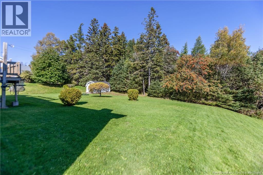61 Fawcett Avenue - 32