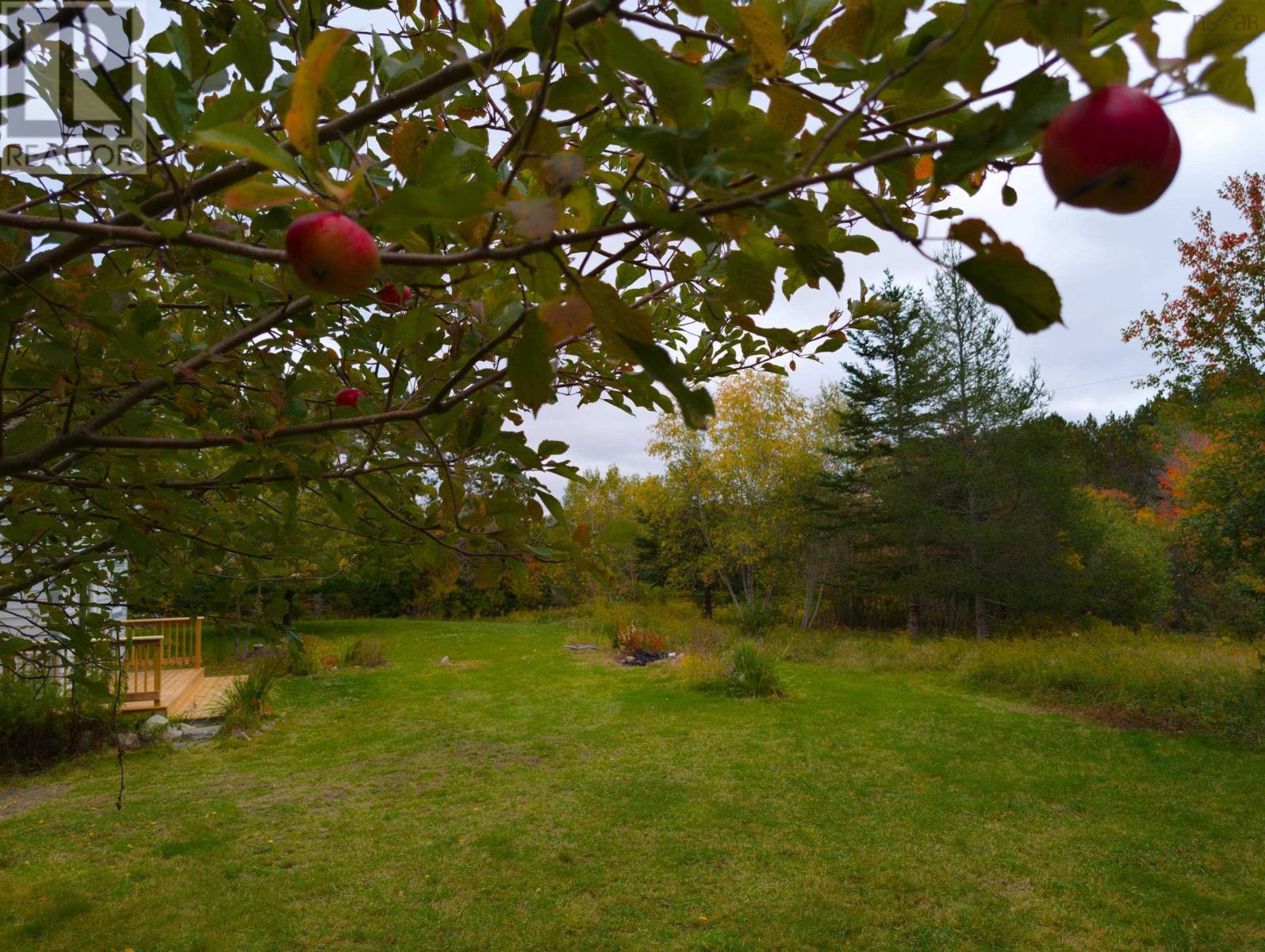 6220 Sissiboo Road - 11