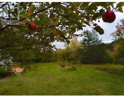 6220 Sissiboo Road, Bear River, NS B0S1B0 Photo 11
