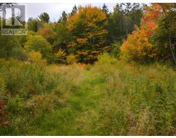 6220 Sissiboo Road, Bear River, NS B0S1B0 Photo 12