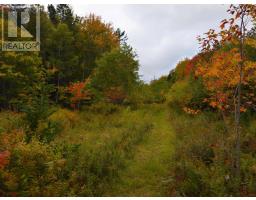 6220 Sissiboo Road, Bear River, NS B0S1B0 Photo 15