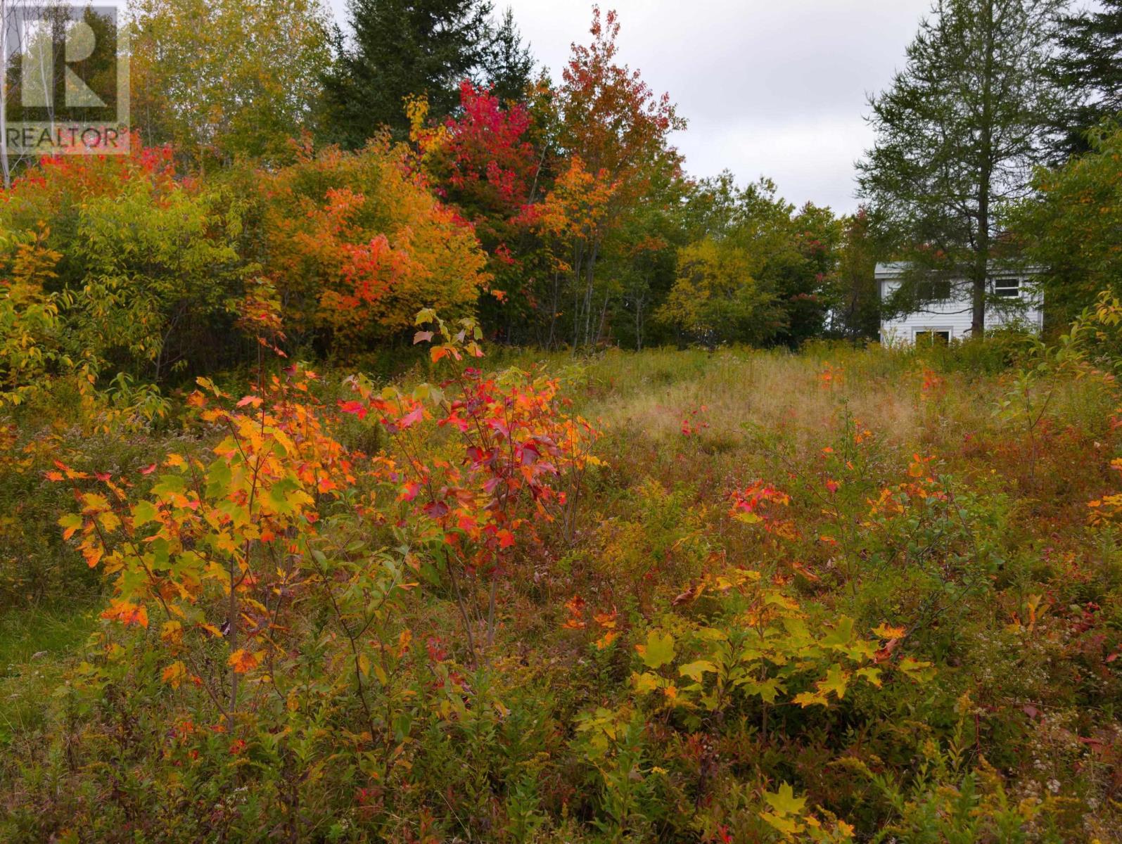 6220 Sissiboo Road - Image 14
