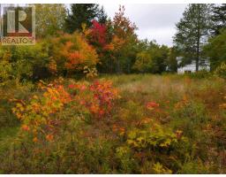 6220 Sissiboo Road, Bear River, NS B0S1B0 Photo 14