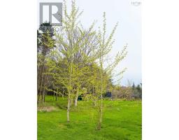 1357 Highway 330, Centreville, NS B0W2G0 Photo 25