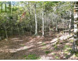 36 Blue Jay Road, Molega Lake, NS B4V8S9 Photo 11