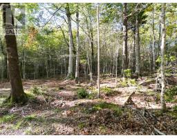 36 Blue Jay Road, Molega Lake, NS B4V8S9 Photo 16
