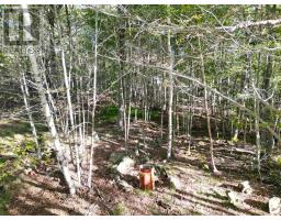 36 Blue Jay Road, Molega Lake, NS B4V8S9 Photo 12