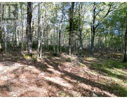 36 Blue Jay Road, Molega Lake, NS B4V8S9 Photo 14