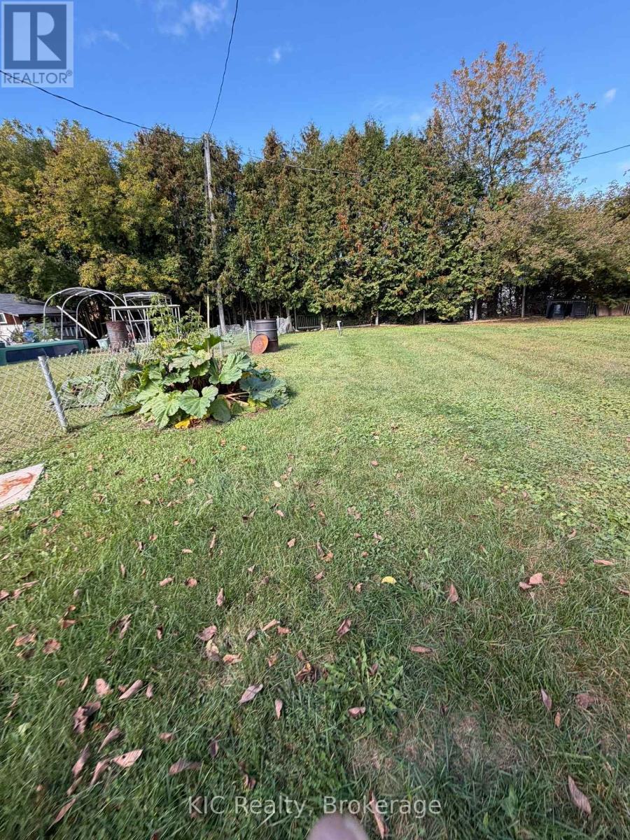 14 Alfred Street West, Havelock-Belmont-Methuen, ON photo 20