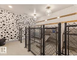 #427 7463 May Cm Nw, Edmonton, AB T6R0X1 Photo 45