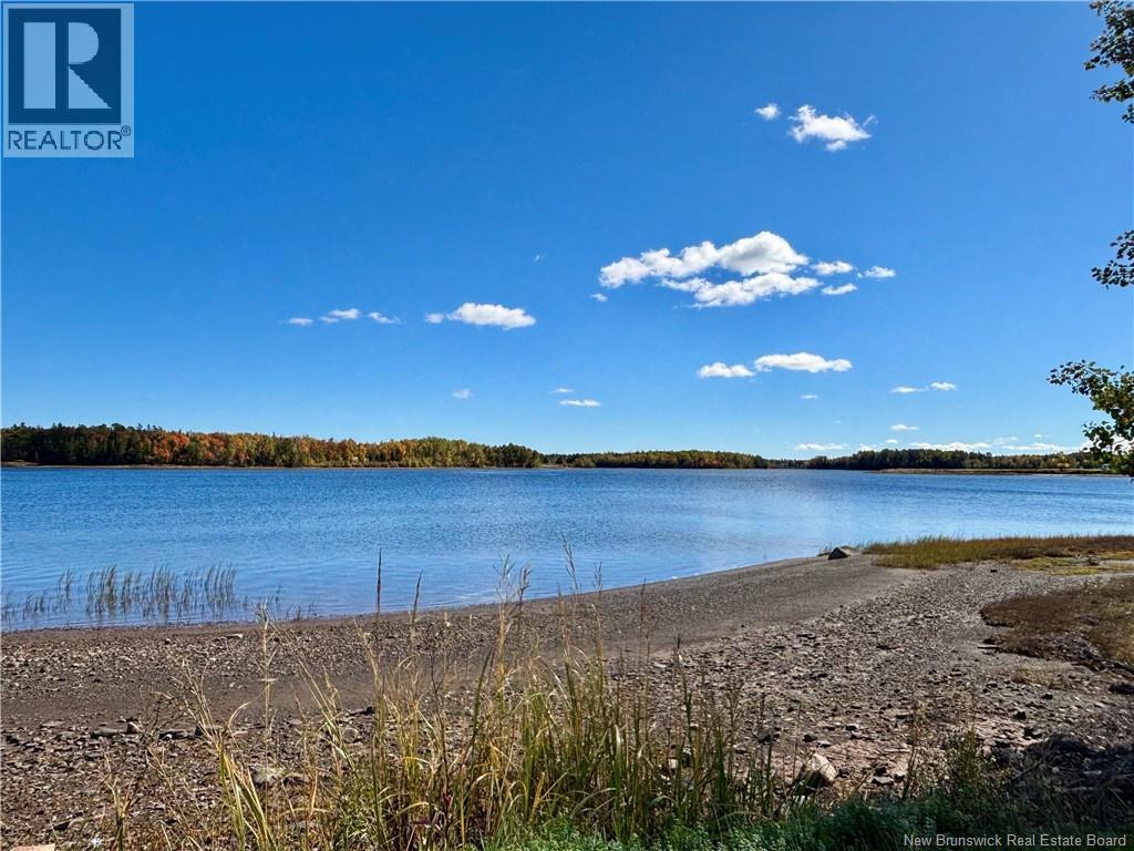 1056 N. Black River Road - Image 10