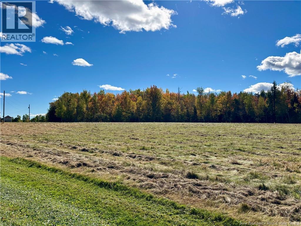 1056 N. Black River Road - Image 17