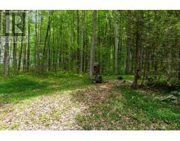 36718 River Road, Ashfield Colborne Wawanosh, ON N0G2H0 Photo 11