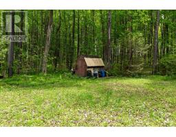 36718 River Road, Ashfield Colborne Wawanosh, ON N0G2H0 Photo 12