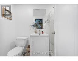 19 Begonia Street, Markham, ON L6E0N3 Photo 38