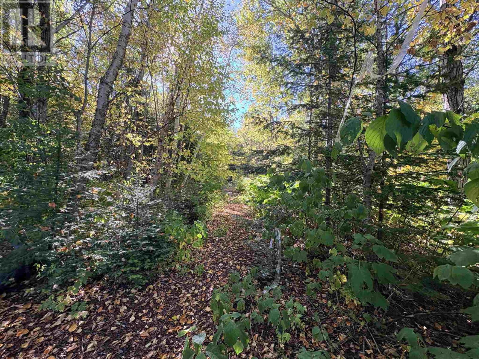 Coppermine Point Hwy 17n Hwy N — photo 13