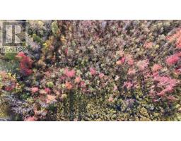 Con 7 Lot 6 Land O'nod Road, Merrickville Wolford, ON  Photo 6