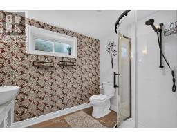 46 Marilyn Crescent, Halton Hills, ON L7G1K4 Photo 36