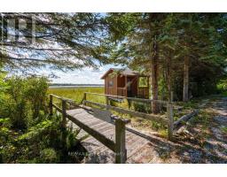 150 Shoreline Avenue, South Bruce Peninsula, ON N0H2T0 Photo 39