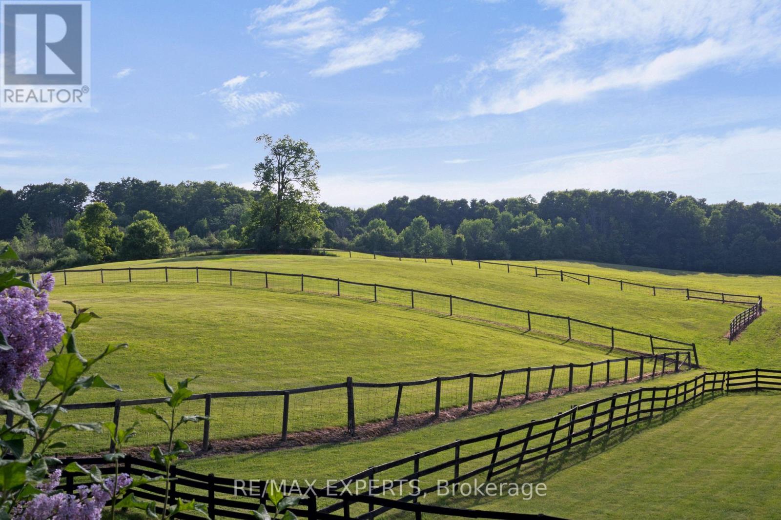 16718 CALEDON KING TOWNLINE N - 13