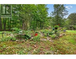 5962 Highway 15, Kingston, ON K0H2N0 Photo 35