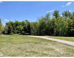 5216 Mullen Ct Nw, Edmonton, AB T6R0R2 Photo 69