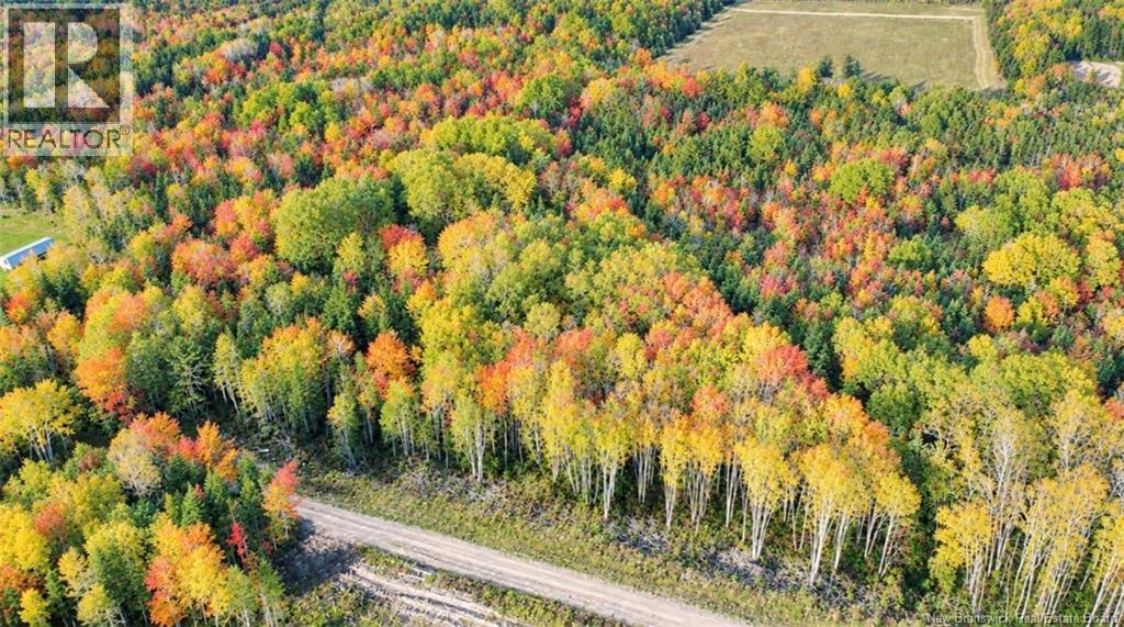 Lot 21-06 Haut Saint-Antoine Road