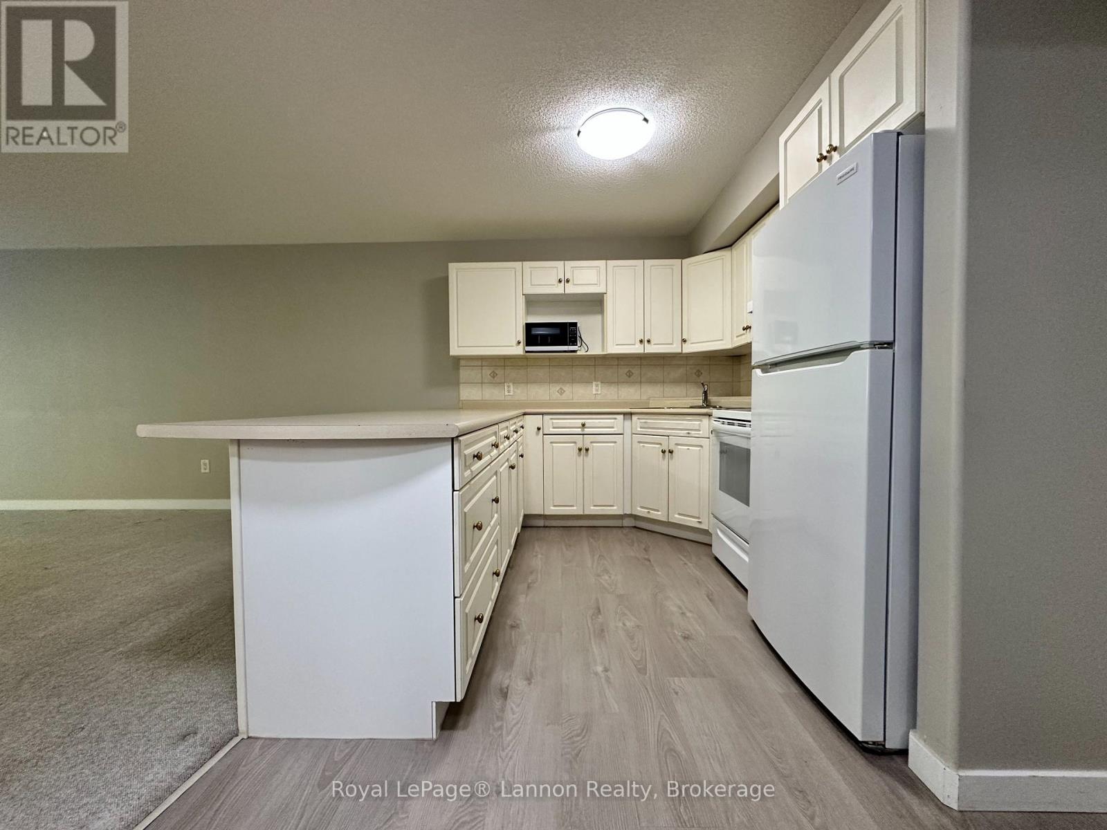 #213 186 ALGOMA STREET N - 6