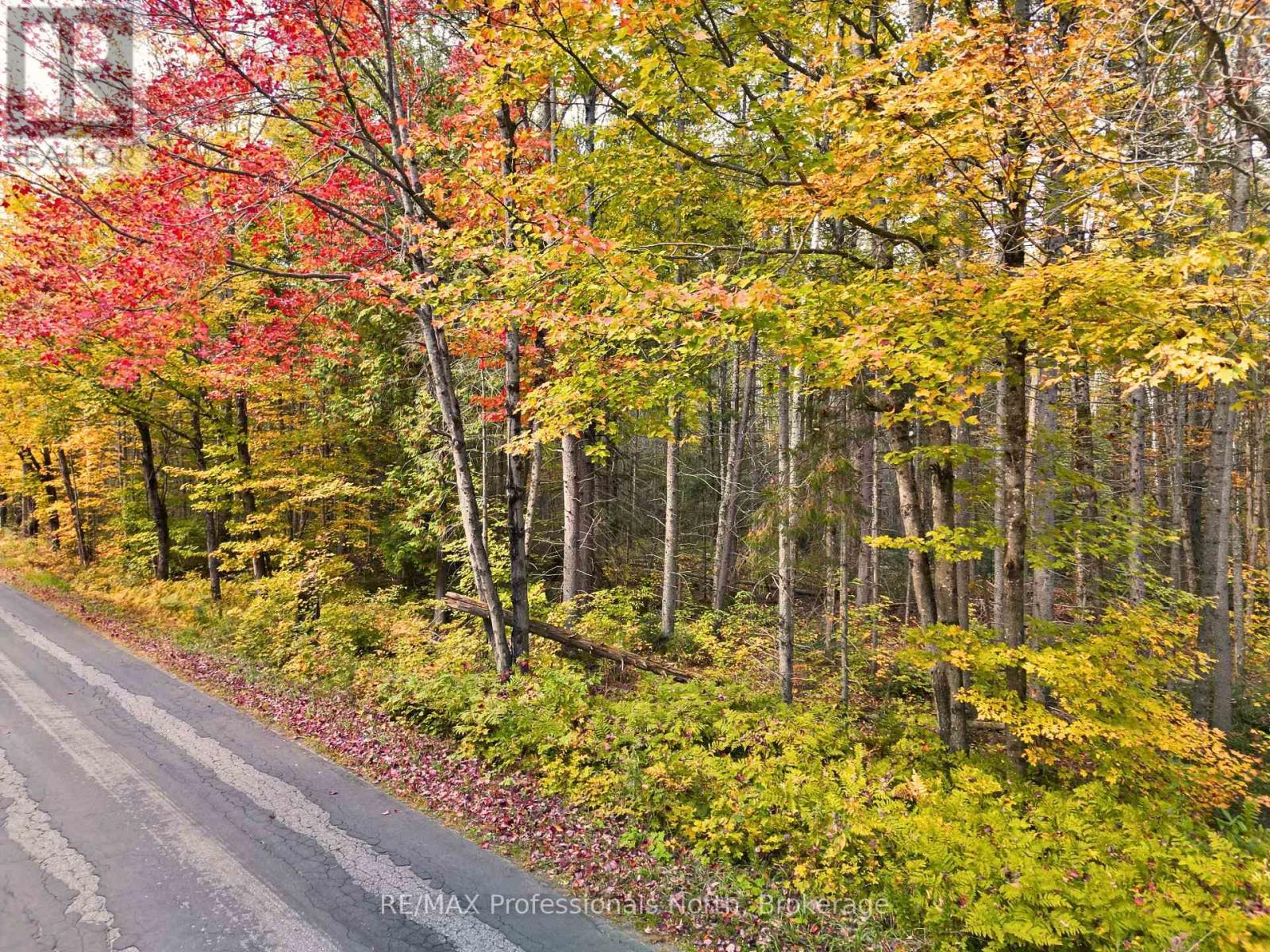 276 Fern Glen Road — photo 4