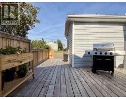 67 Pleasant Street, Springhill, NS B0M1X0 Photo 19