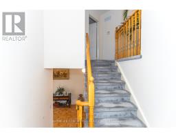 12 Touchstone Drive, Toronto, ON M6M5L2 Photo 24