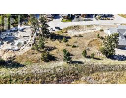 Lot 4 Stoddart Estates Drive, Windermere, BC V0B1L2 Photo 9