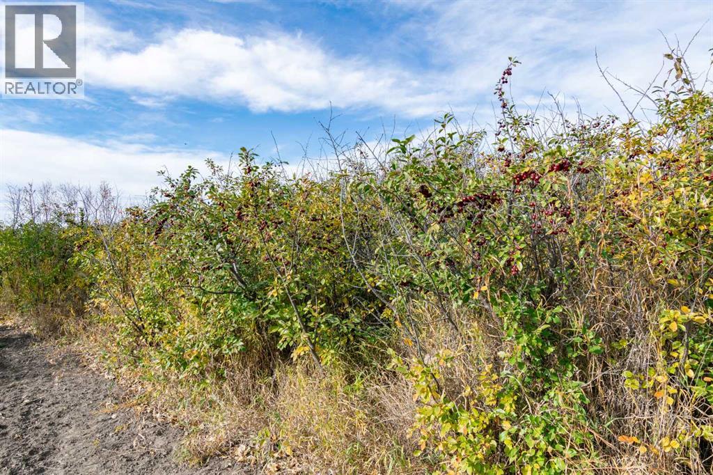 Listing photo – 4 Trestle Close, Rural Stettler No. 6, County of