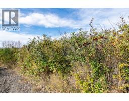4 Trestle Close, Rural Stettler No  6, County Of, AB T0C2L0 Photo 44