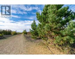 4 Trestle Close, Rural Stettler No  6, County Of, AB T0C2L0 Photo 45