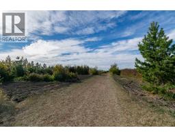 4 Trestle Close, Rural Stettler No  6, County Of, AB T0C2L0 Photo 46