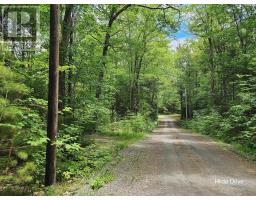 25 Hirtle Drive, Hemford, NS B0R1E0 Photo 27