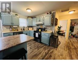 Laundry room - 21 Snowden Avenue, Amherst, NS B4H2N1 Photo 10