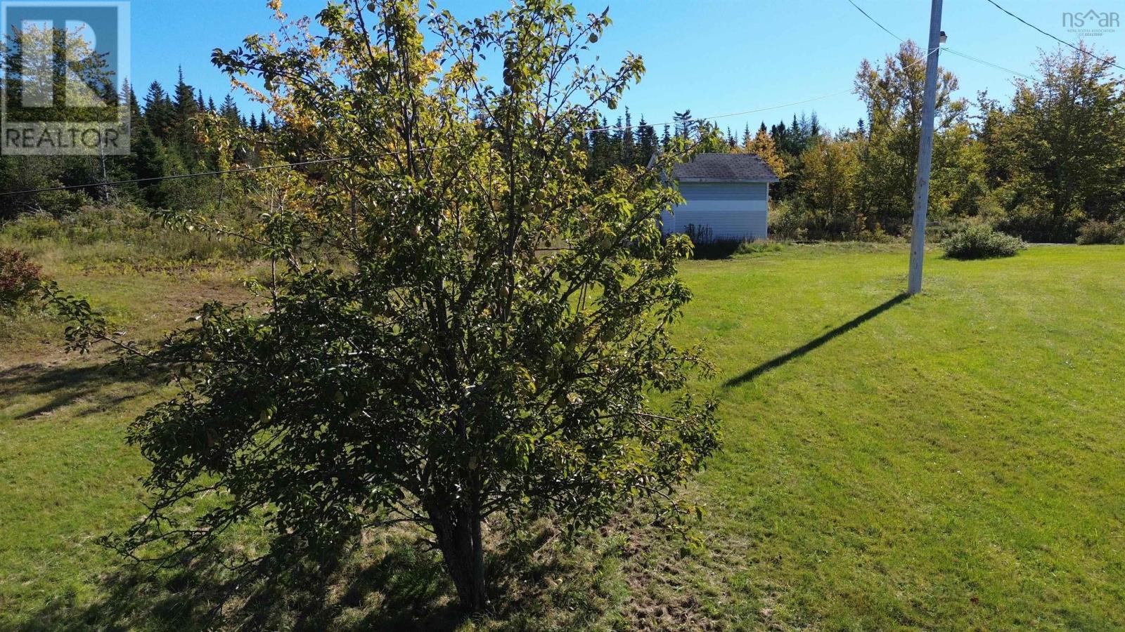 290 MacVicar Road - 13
