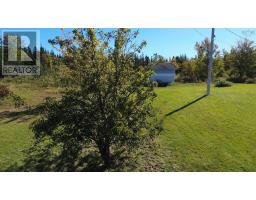 290 Macvicar Road, Enon, NS B1J1W5 Photo 13