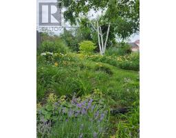 136 County 4 Road, Douro Dummer, ON K9L1V6 Photo 15