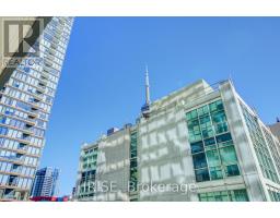 1207 - 88 Blue Jays Way, Toronto, ON M5V2G3 Photo 25