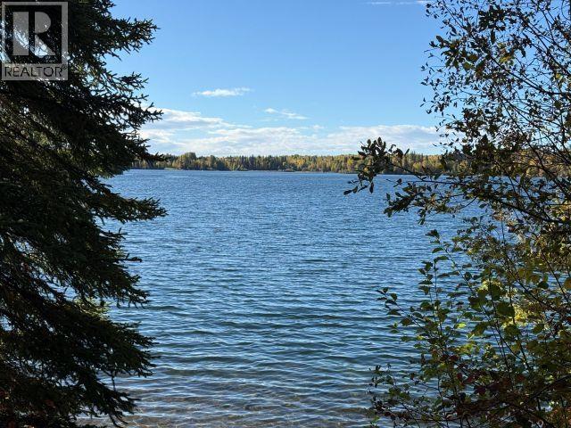 Photo 11 of 18 — 25260 N NESS LAKE ROAD · Prince George, BC