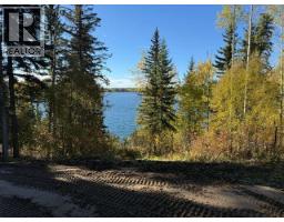 25260 N Ness Lake Road, Prince George, BC V2K5N3 Photo 13