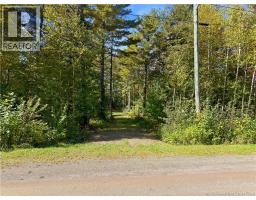 25-1 Drummond Road, photo 4